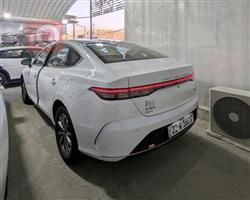 BYD Destroyer 05